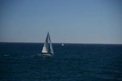 DSC_0404 (Large).JPG